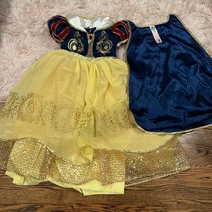 THE DISNEY STORE PARKS Snow White Deluxe Designer Costume Dress Halloween